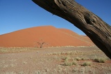 Namibia (41)